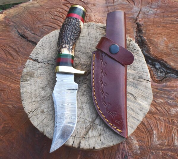 Damascus steel Hunting Knife Stag Handle
